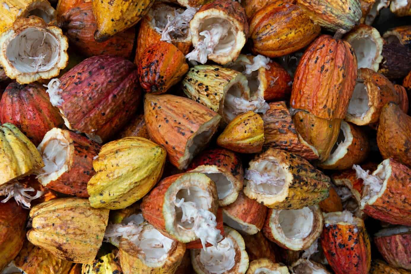 Ceremonial Cacao: The New Superfood?
