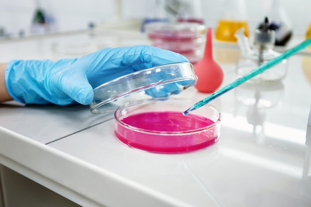 Exploring the Role of Antibodies in Modern Research and Diagnostics